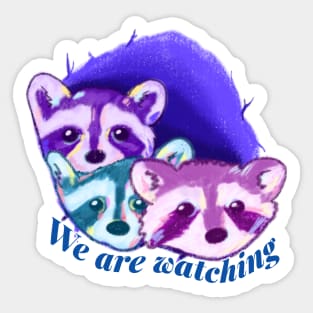 The Raccoons are watching Sticker